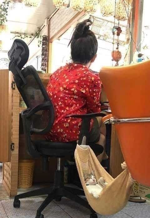  ,   