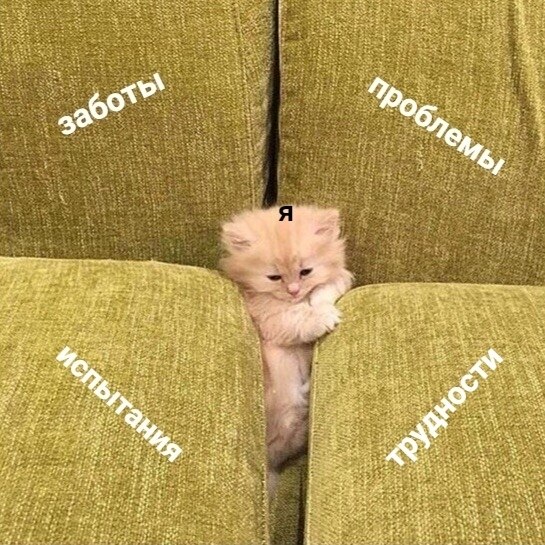  ,  ? 