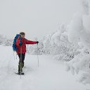 ���� ��������, �����������, 47 ��� - ��������� 28 ���� 2019 � ������ ���� ����������