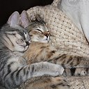 ���� Vini, ������� - ��������� 23 ���� 2019 � ������ ������ ��������