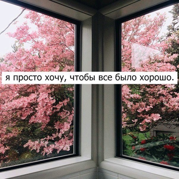      ,  ,    ,     , ...