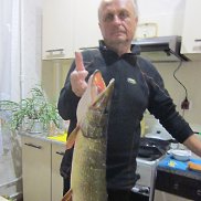 ������, , ���������