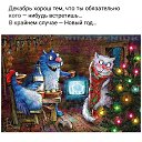  Svetlana,  -  7  2019    