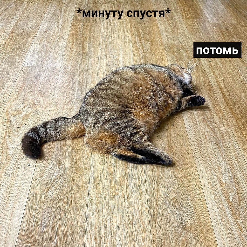       : - 6