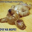 ���� ��������, ������, 56 ��� - ��������� 22 ���� 2019 � ������ ������ ��������