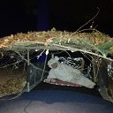 ���� �����, ������������, 48 ��� - ��������� 14 ��� 2019 � ������ ���� ����������