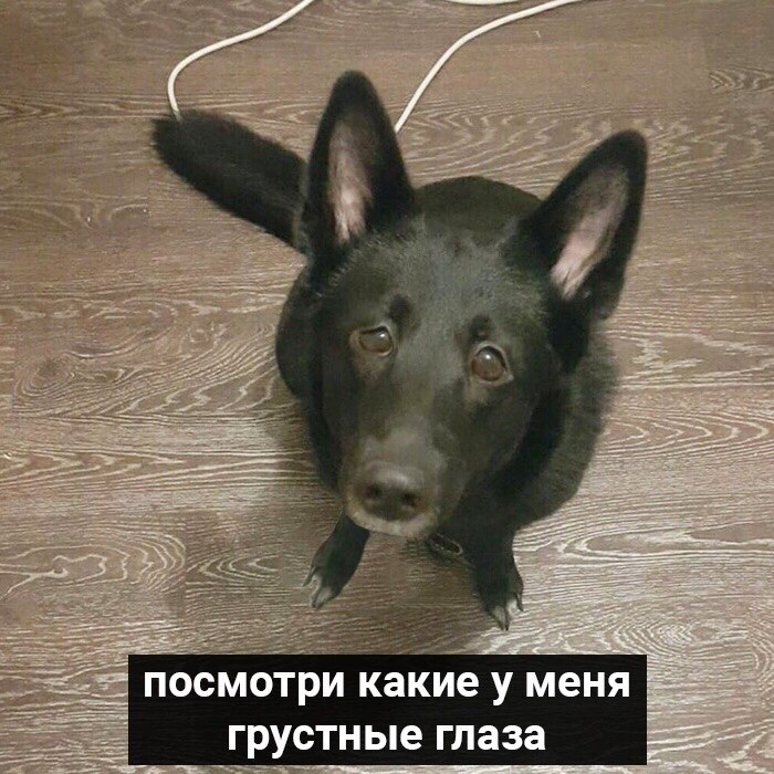   ,   ,  ... - 4