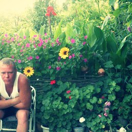 ���� ����, ������, 42 ���� - ��������� 18 ������ 2019