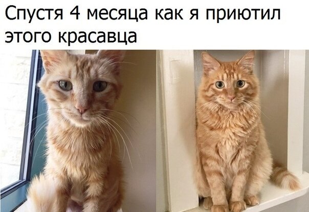    - 20  2019  21:48