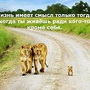 ���� �����, �����-��������� - ��������� 8 ���� 2019 � ������ ������ ��������
