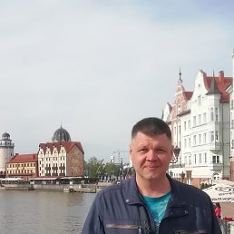 ���� ���������, �����������, 49 ��� - ��������� 16 ���� 2019