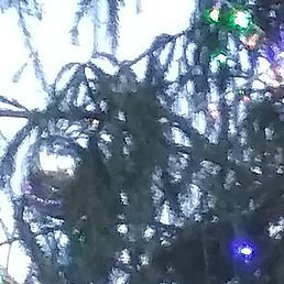 �����, �����������