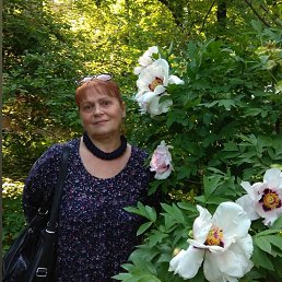 �������, ������, 75 ���