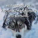 ���� �������, ������, 47 ��� - ��������� 30 ��� 2019 � ������ ���� ����������