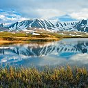  , -, 64  -  4  2019    ,  