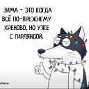  , , 46  -  13  2019    