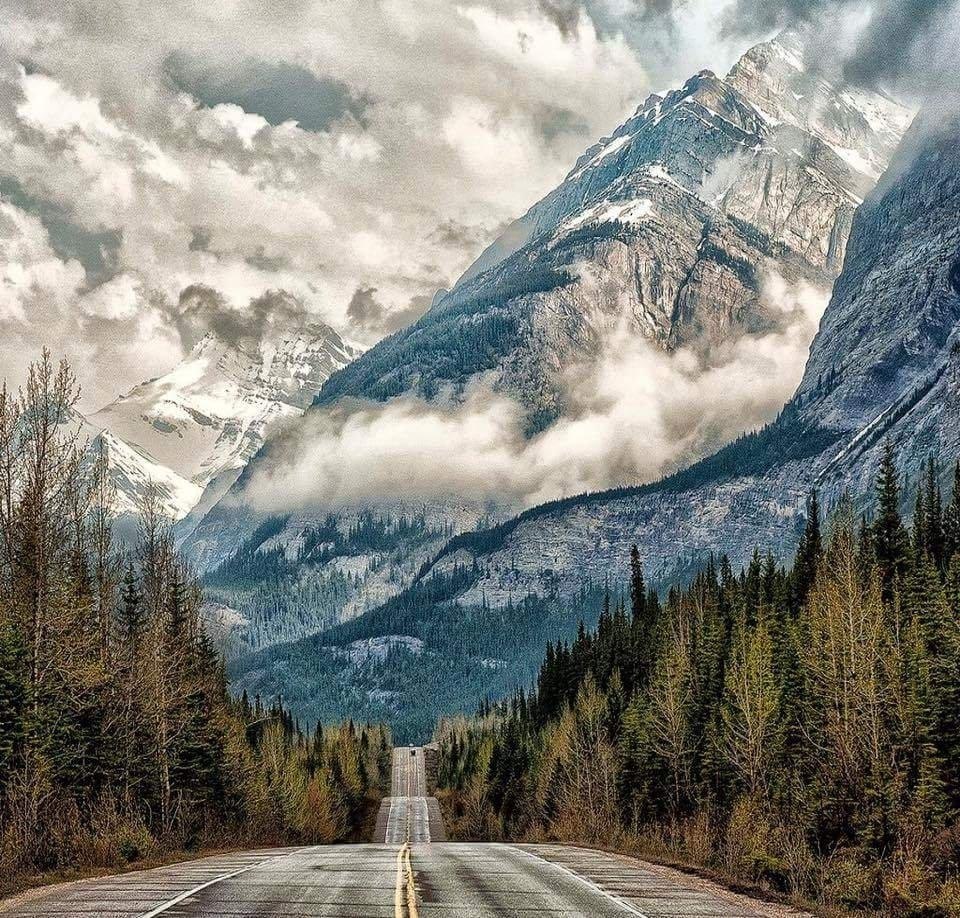 Гор дорога. Трасса Icefields Parkway, национальный парк Банф, Канада. Дорога в гору. Красивые дороги. Дорога лес горы.