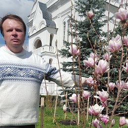 ������, 45 ���, ������������