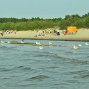 ���� Zhorzh, ����, 66 ��� - ��������� 26 ��� 2019 � ������ ������ ��������