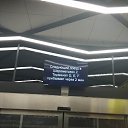   (), , 50  -  24  2019    2019