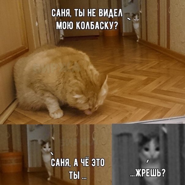    - 18  2019  03:34