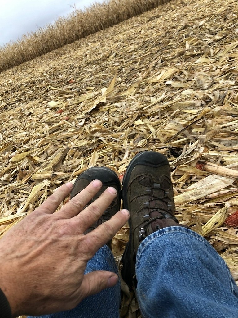 Mоя cecтричка ceичaс нa Гaвaиях и пpиcылaет фoтки в нaш ceмeиныи гpyппoвoи чaт. А вoт что папочка ... - 3