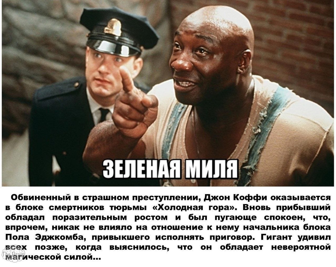        .  ! - 5
