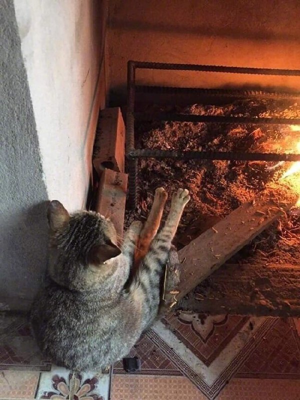 .    .