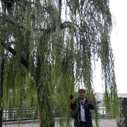 ������, ���