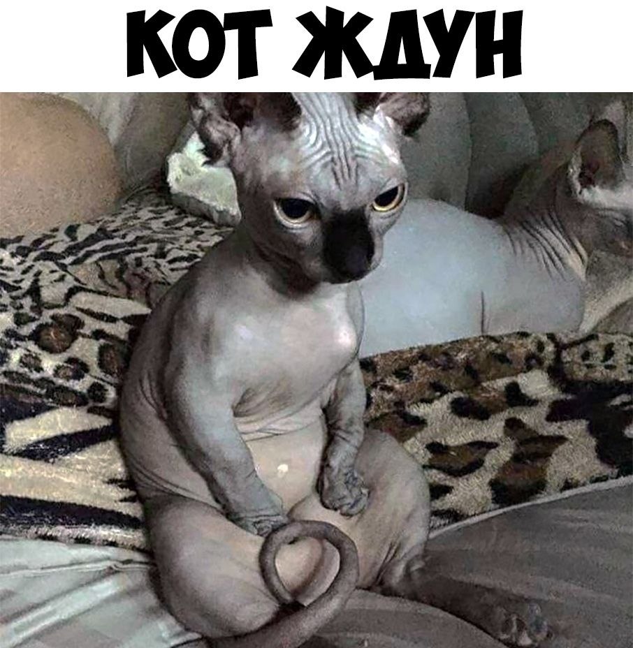    :D - 8  2019  04:13