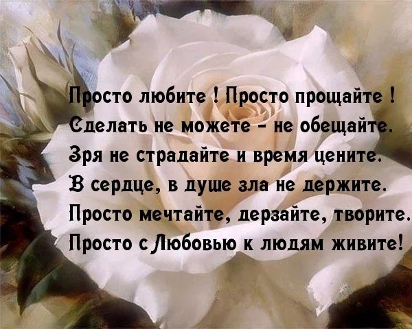   ,    . - 17  2019  19:18