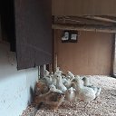 ���� �����, ������, 50 ��� - ��������� 9 ������� 2019 � ������ ���� ����������