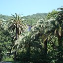 ������� - ����� �� ������� ���������