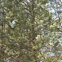 ���� ������, ������������ - ��������� 27 ���� 2019 � ������ ������