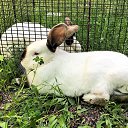 ���� Ashot, ������, 67 ��� - ��������� 19 ��� 2019 � ������ ������ ��������