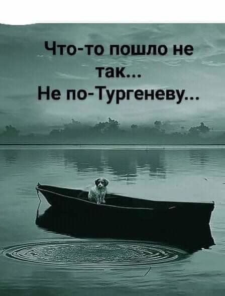   - 8  2019  10:17