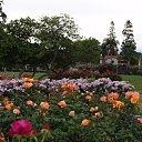  , , 70  -  15  2019   CA_2019_San Jose_Rose Garden_2