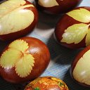 ���� ������, ����������, 51 ��� - ��������� 27 ������ 2019 � ������ ������ ��������