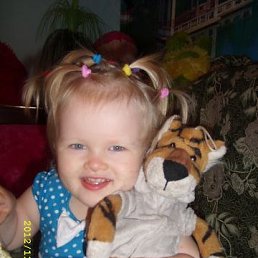 �����, ����, 41 ���