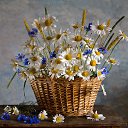 ���� ��������, ����������� - ��������� 15 ������� 2019 � ������ ���� ����������