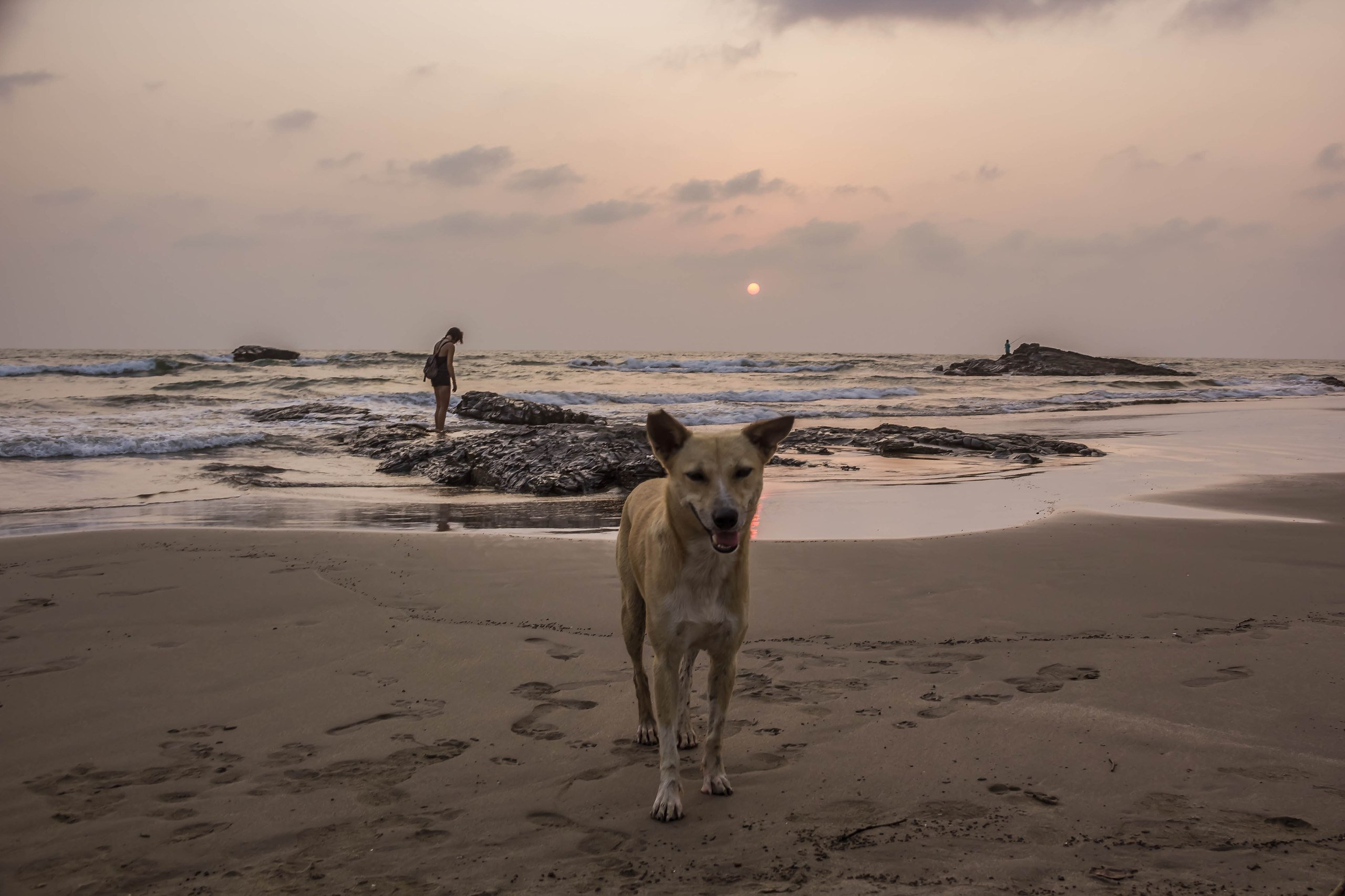 Goa. Evening beach story... #India #Goa # - 4