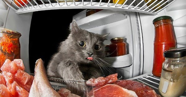 Интересно.Какие продукты вызывают чувство усталости.Еда нам необходима, чтобы насыщать организм ...