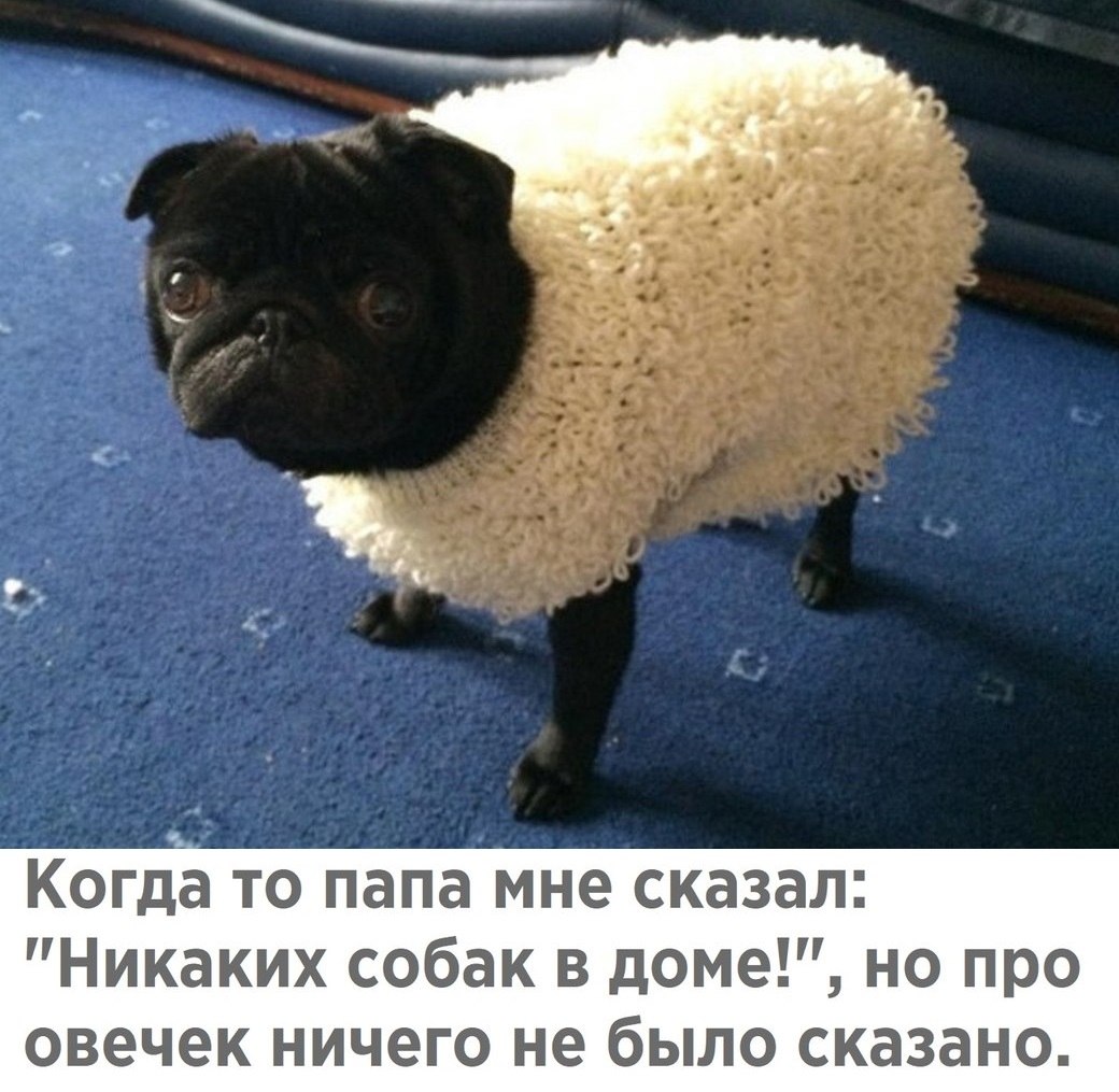   - 1  2019  18:59
