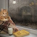 ���� ����, �����-��������� - ��������� 20 �������� 2019 � ������ ���� ����������