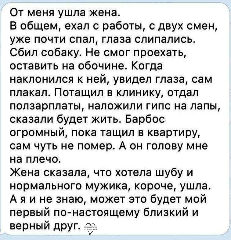 Когда ушла жена. Коротко о мужчинах картинки. А из проблем мы свяжем коврик и будем ноги вытирать картинки.