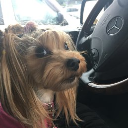 Katerina, �������������-����������, 47 ���