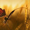 ���� Sandra, ������ - ��������� 16 ���� 2019 � ������ ������ ��������