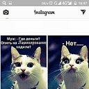���� ��������, ����-���, 61 ��� - ��������� 11 ���� 2019 � ������ ���� ����������
