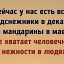  , , 59  -  27  2019   ....      .....