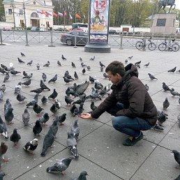 ���� ���� 89046032199, �����-���������, 37 ��� - ��������� 12 ������� 2019